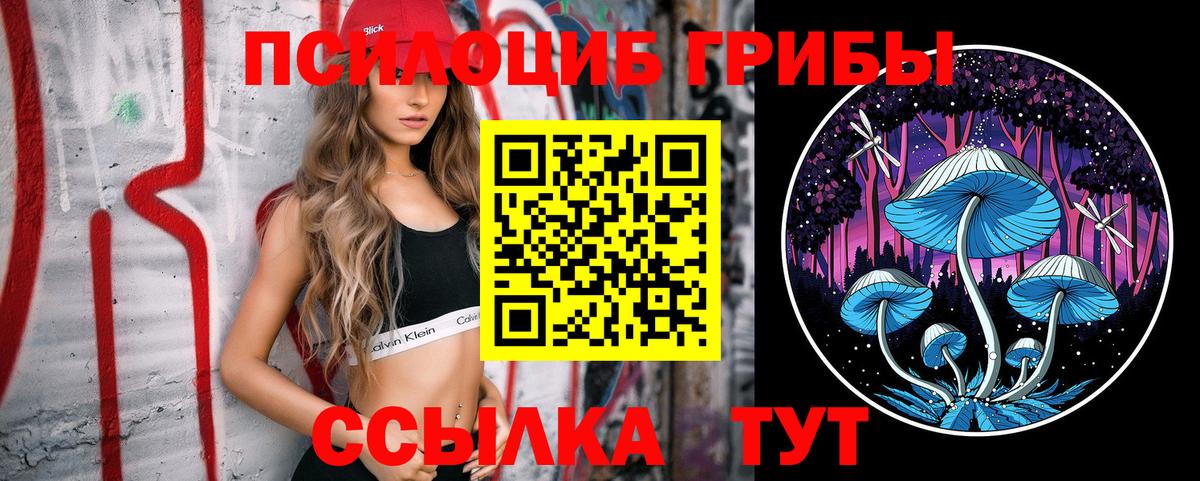 Галлюциногенные грибы Cubensis  Вход с VPN  Псилоцибиновые грибы Psilocybe  Ипатово 
